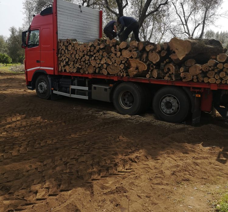 IMG_20250315_113817 (1)