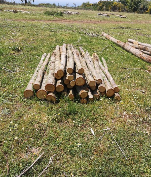 IMG_20250525_112900-1-scaled