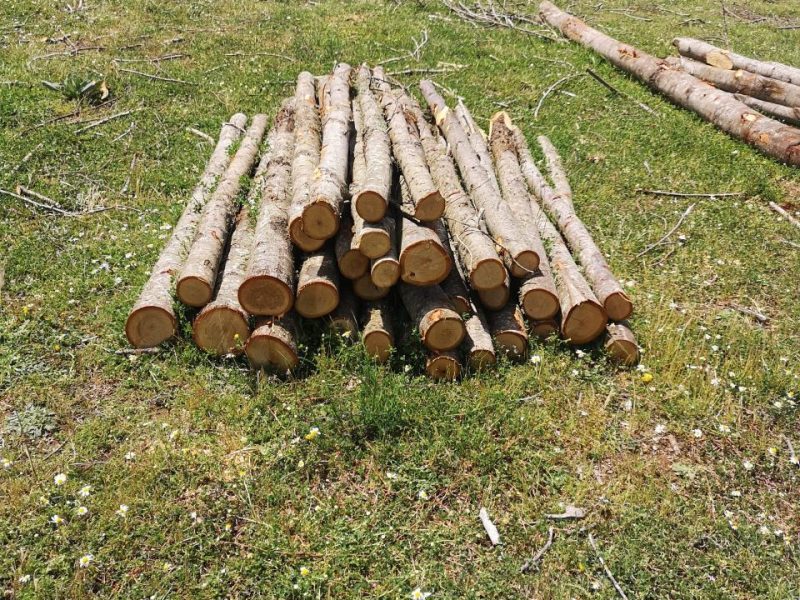 IMG_20250525_112900-1-scaled